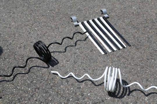 Vogelwanrfaehnchen und Vogelwarnspiralenc APGBJ2A0557.JPG